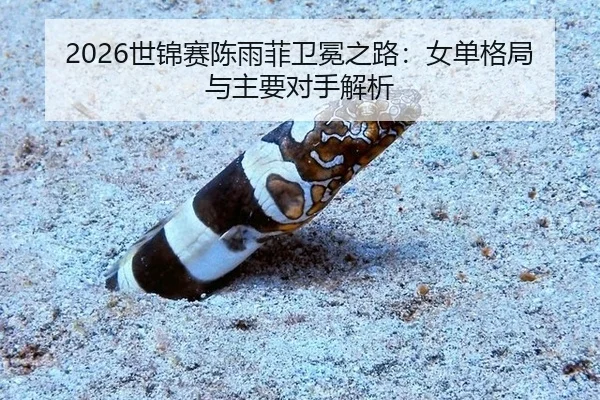 shi-jin-sai-chen-yu-fei-wei-mian-zhi-lu-nv-dan-ge-ju-yu-zhu-yao-dui-shou-jie-xi-2-294.jpg