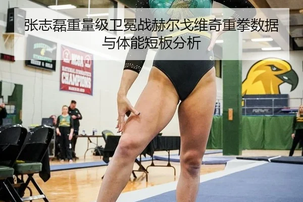 张志磊重量级卫冕战赫尔戈维奇重拳数据与体能短板分析